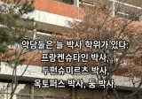 박사학위를 따면 안 되는 이유