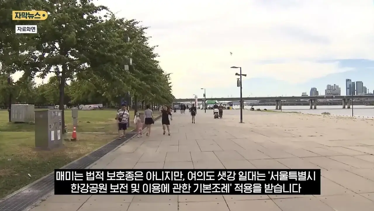 20260820111707_FtZy48nFly.webp