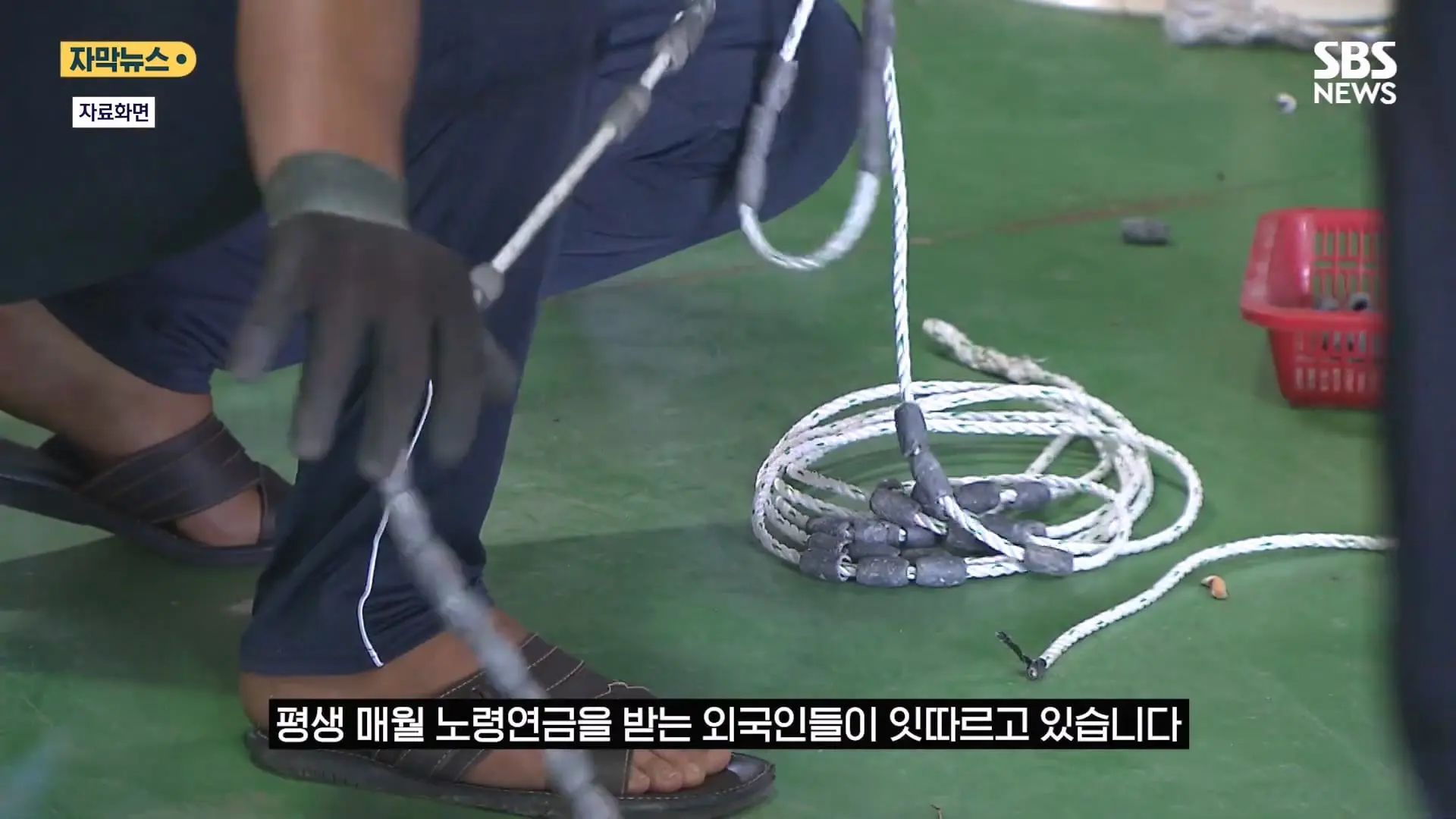 한국서 한 달 일하고 매달 연금 .외국인 '평생 연금' 실체에 '부글' (자막뉴스) SBS.mp4_20260821_130926.925.jpg
