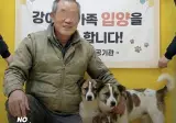 반려견 3마리를 분양받았던 70대 노인...jpg