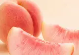 딱복 vs 물복 뭘 더 좋아하세요?