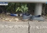 신발 • 가방 • 음식... 창밖으로 내던진 양심