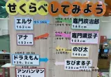 일본 키즈카페에 있는 애니 캐릭터 키 비교판
