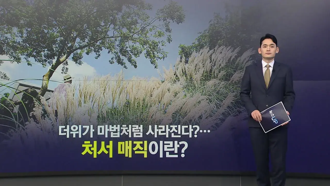 내일 펼쳐질 올해 최고의 마술쇼 .jpg
