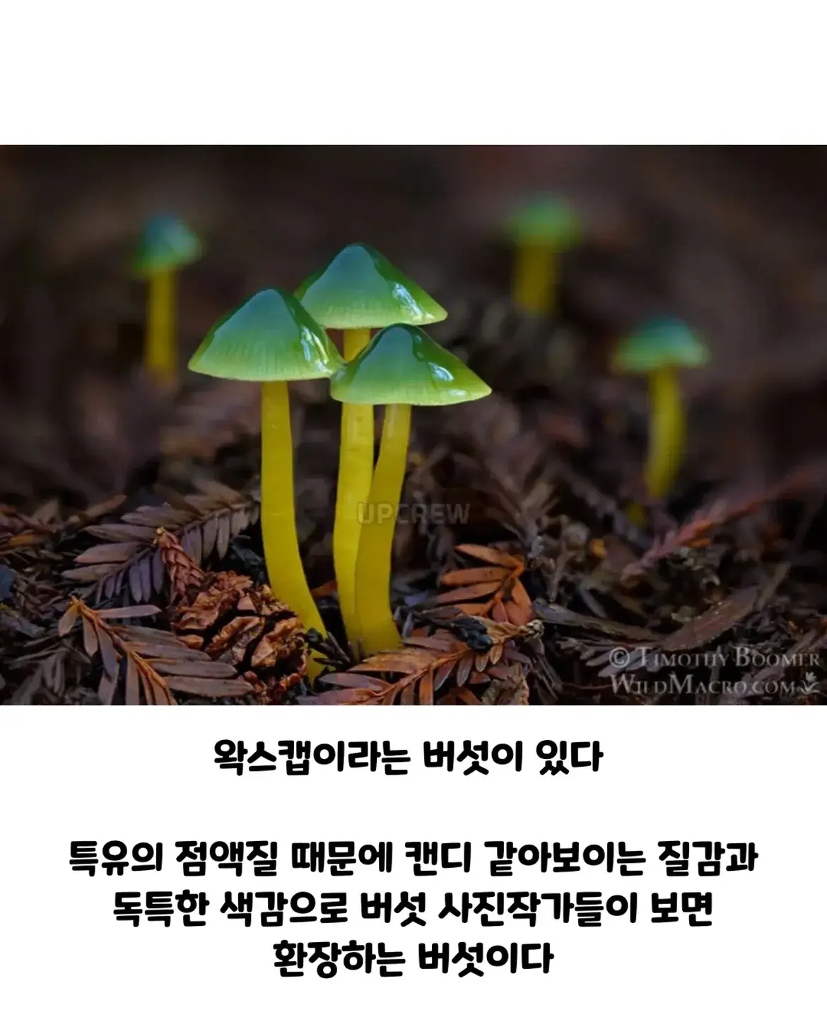 781425437_18087682172666096_1989942165294116937_n.webp
