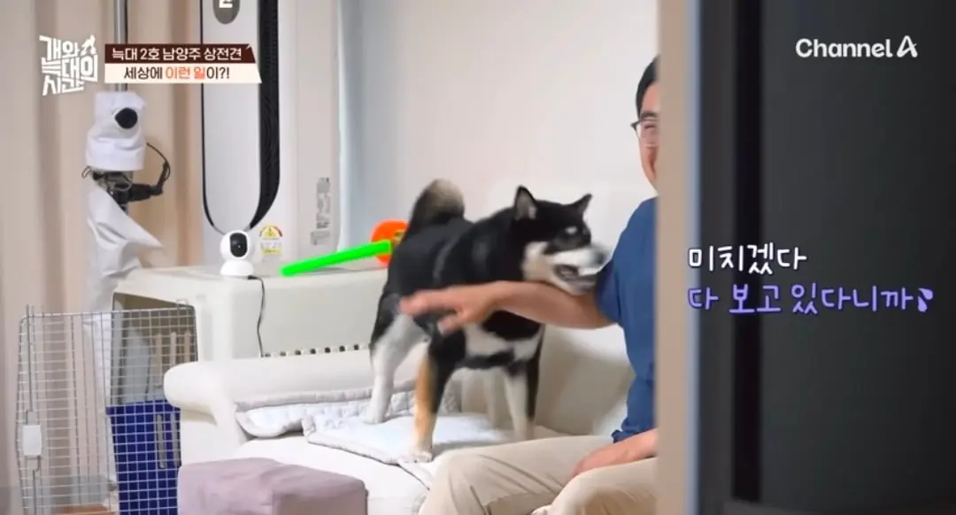 Screenshot_20260822_224611_YouTube.jpg