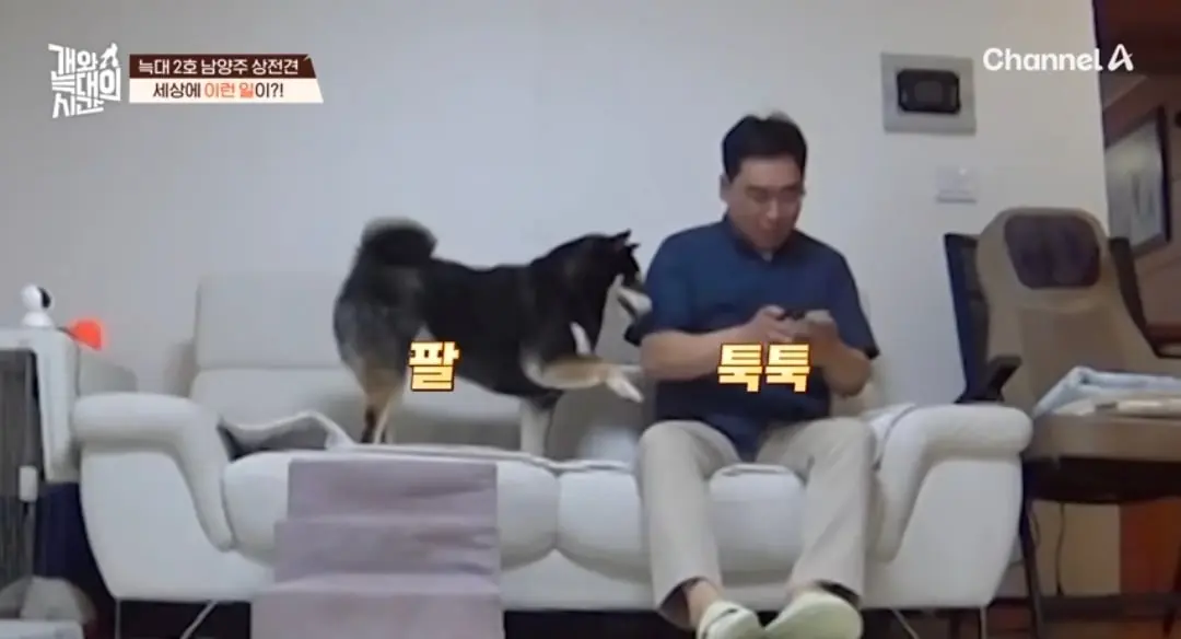 Screenshot_20260822_224551_YouTube.jpg