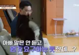 개늑시) 매일 강아지 대딸해주는 견주.jpg