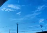 밈으로만 듣던 처서 매직