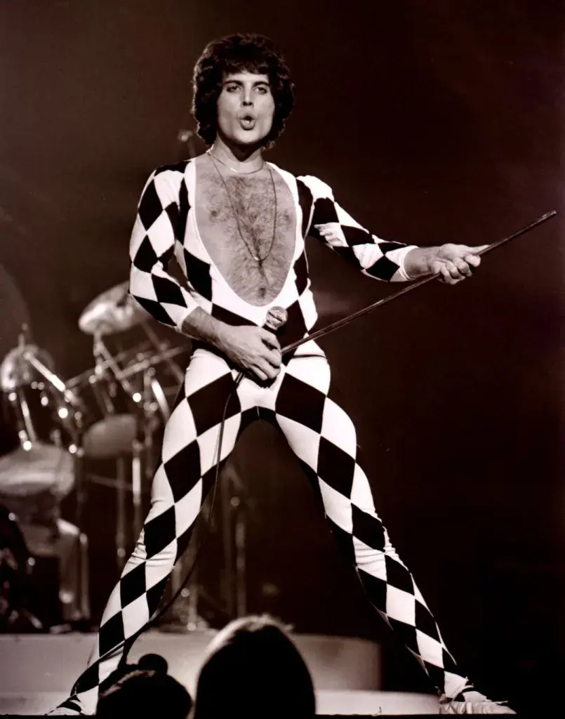 freddie-fashion-70s-harlequin.webp