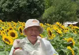 이 할아버지네 고양이들 진짜 개많이 싸움