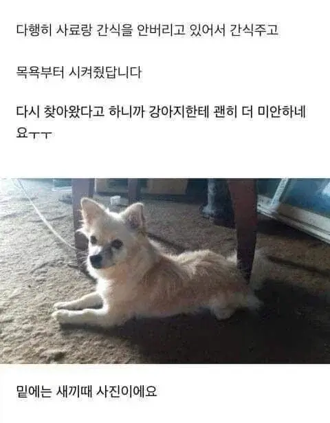20260823142807_s7cTO3TyoK.webp