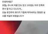 오싹오싹 테슬라 수리비 근황ㄷㄷ