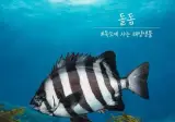 자연산 횟감 Best 논쟁