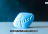 비아그라 항암효과