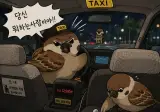 택시기사에게 당신 뭐하는사람이냐는 소리 들음