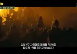 되살아난 극장가.jpg