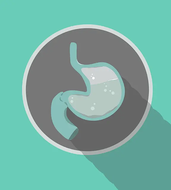 pixel_perfect-stomach-1051854_640.png