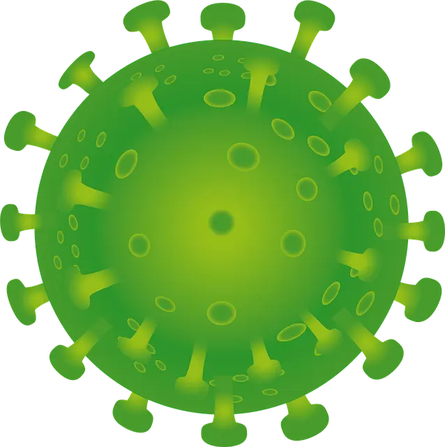 iximus-coronavirus-5058247_640.png