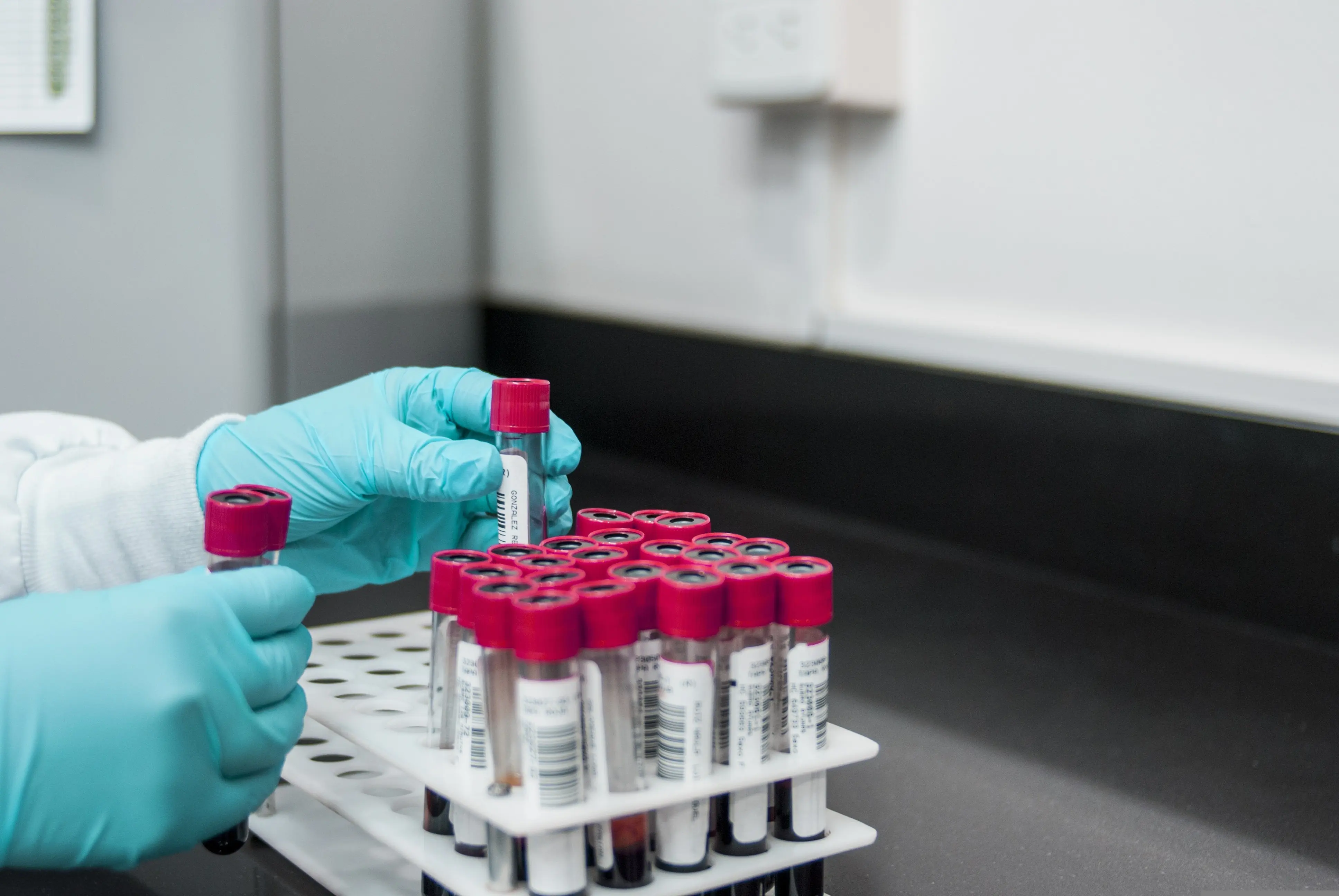 fernandozhiminaicela-lab-3498584.jpg