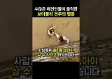 수많은 애견인들이 울컥한 보더콜리 견주의 행동