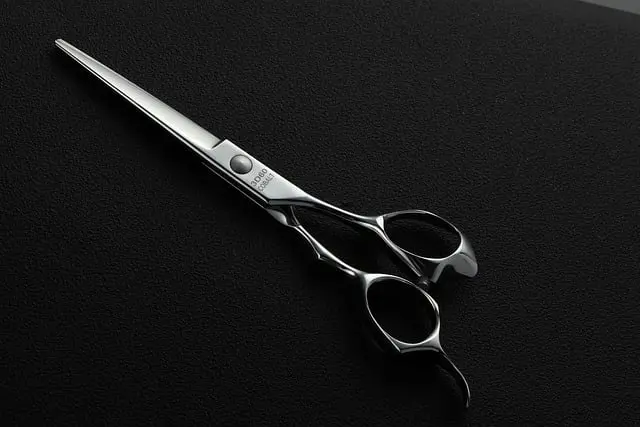 hairdresserooo-scissors-3765408_640.jpg