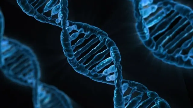publicdomainpictures-dna-163466_640.jpg