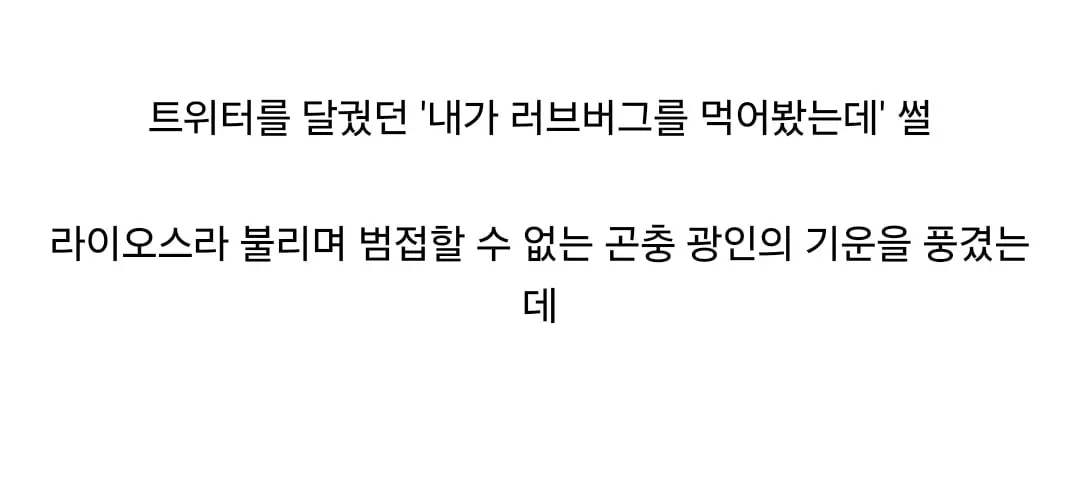 Screenshot_20260825_114438_Firefox.jpg