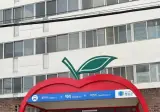 국내에 있다는 과일 모양 버스정류장들.jpg