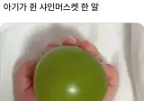 아기 vs 샤인머스켓