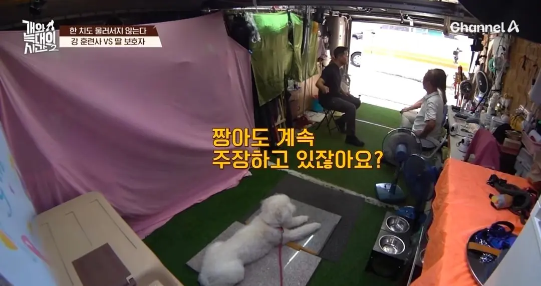 Screenshot_20260825_145203_YouTube.jpg