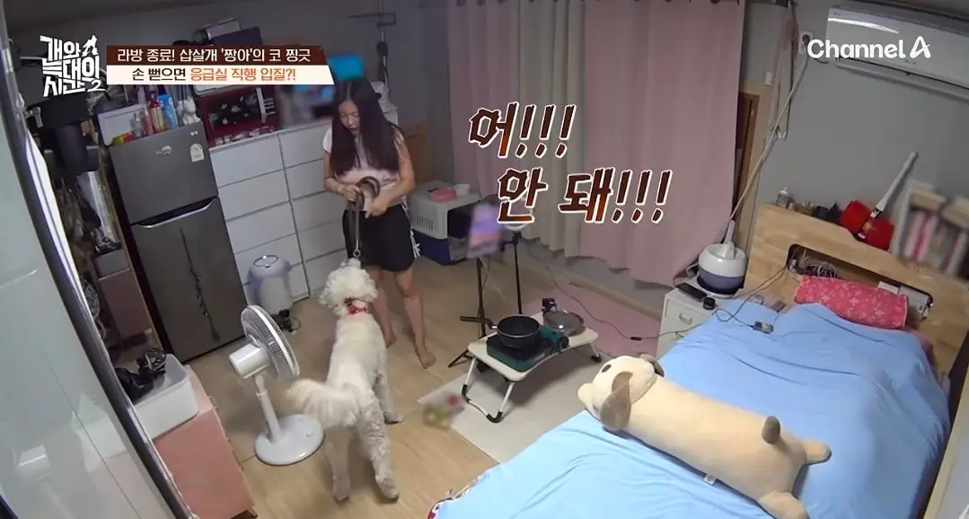 Screenshot_20260825_140506_YouTube.jpg