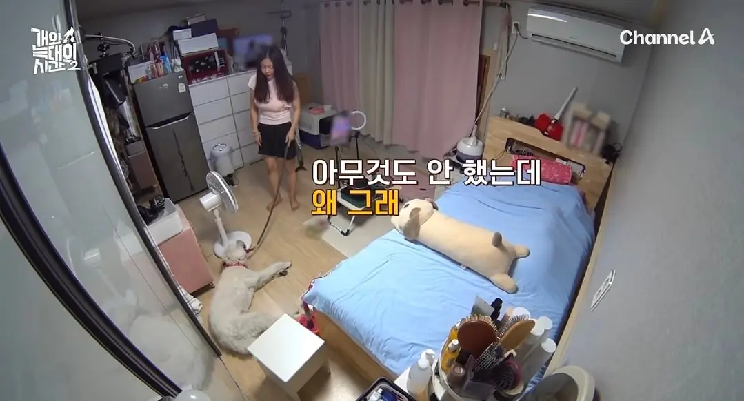 Screenshot_20260825_140437_YouTube.jpg