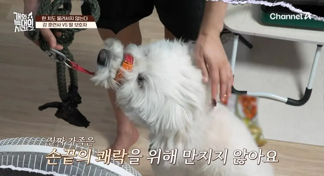 Screenshot_20260825_145234_YouTube.jpg