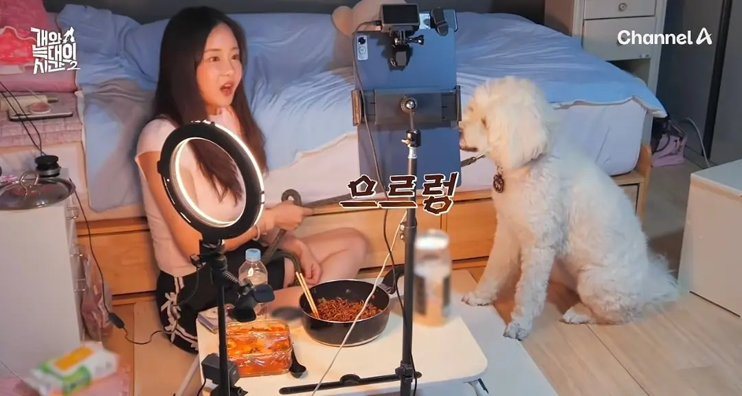 Screenshot_20260825_140726_YouTube.jpg
