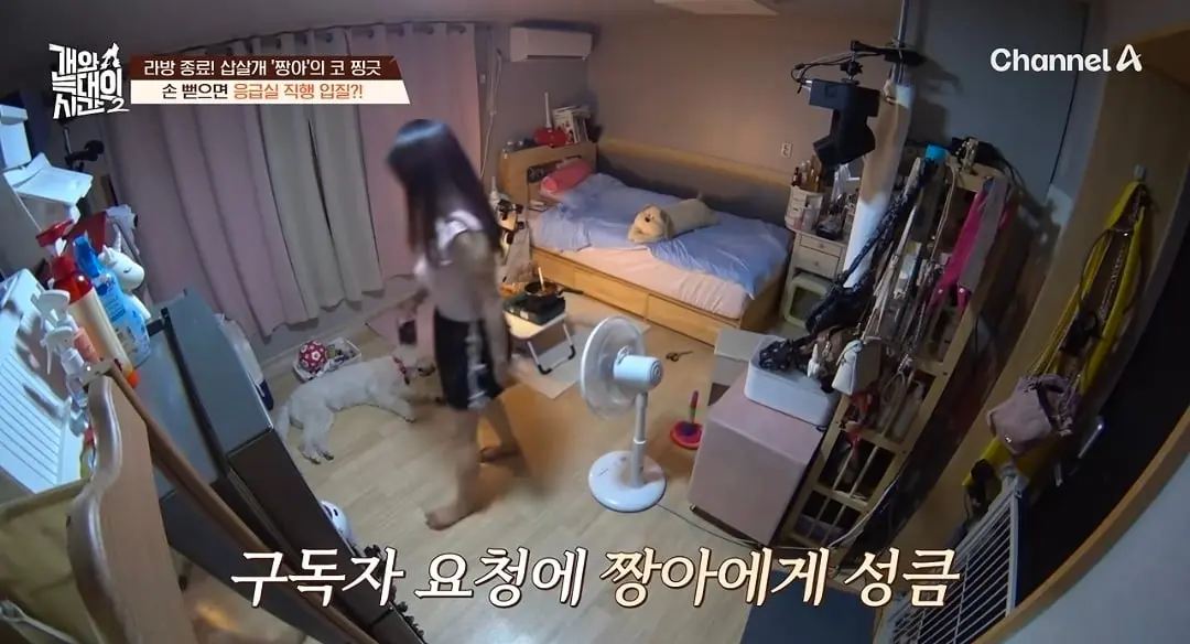 Screenshot_20260825_140659_YouTube.jpg