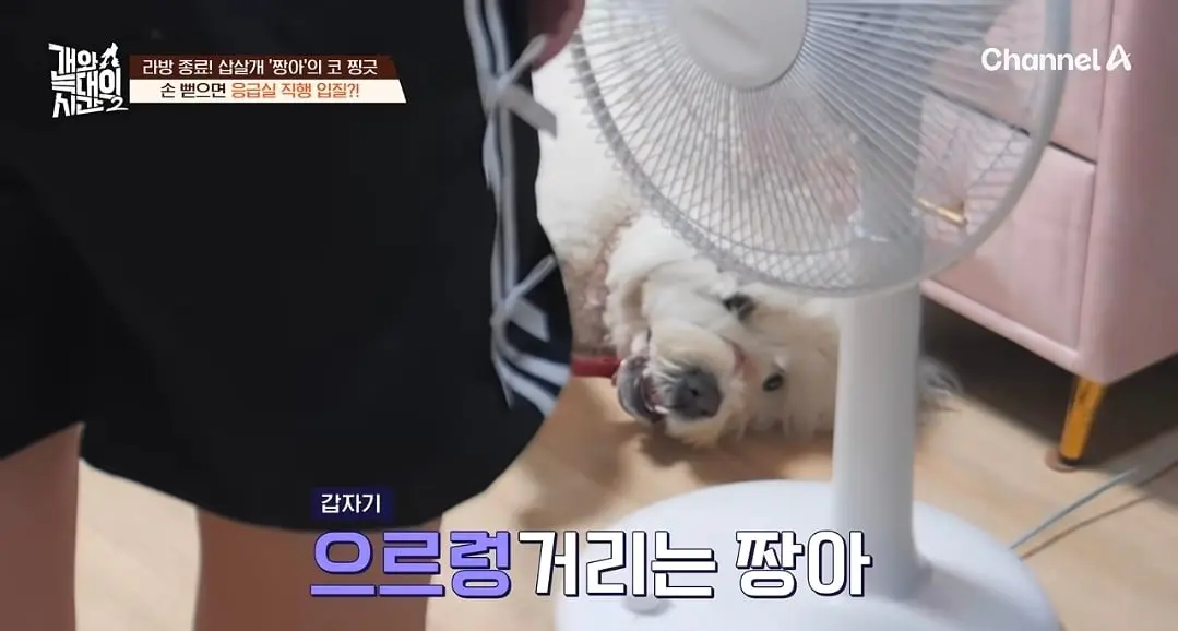 Screenshot_20260825_140424_YouTube.jpg