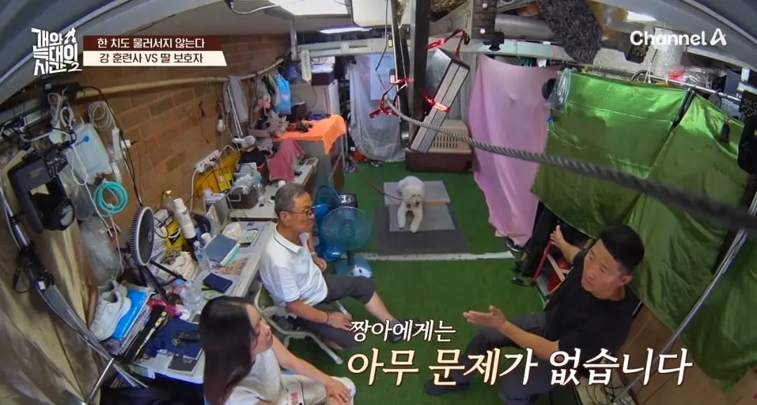 Screenshot_20260825_145039_YouTube.jpg