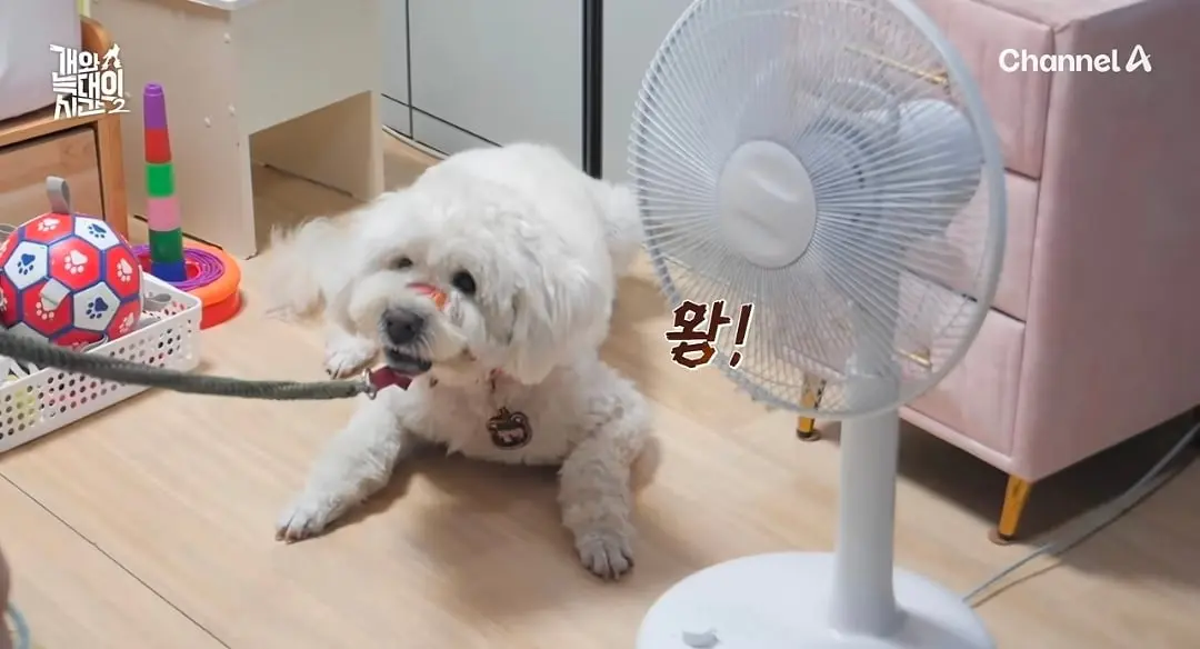 Screenshot_20260825_140450_YouTube.jpg