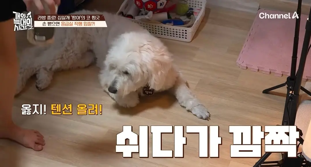 Screenshot_20260825_140708_YouTube.jpg