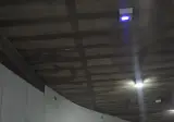 스타필드 근황의 근황