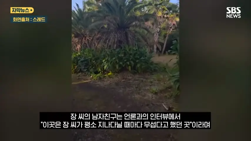 videoframe_56494.png