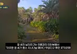 제주 실종사건 장 씨 남자친구 인터뷰 "평소 '무섭다' 한 곳인데 대체 왜...."