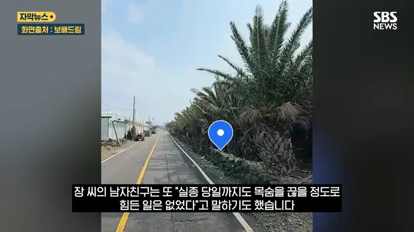 videoframe_80431.png