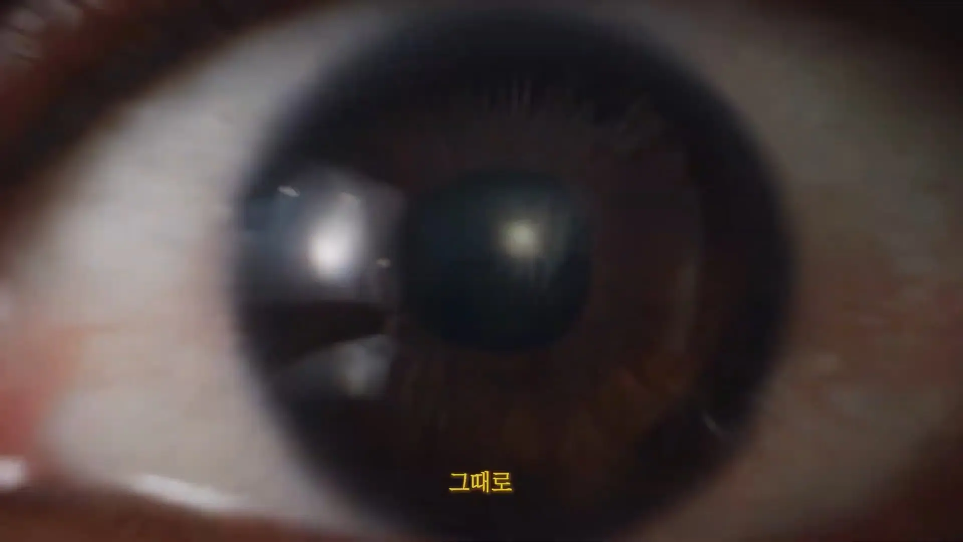 AI 영상입니다(10).jpg