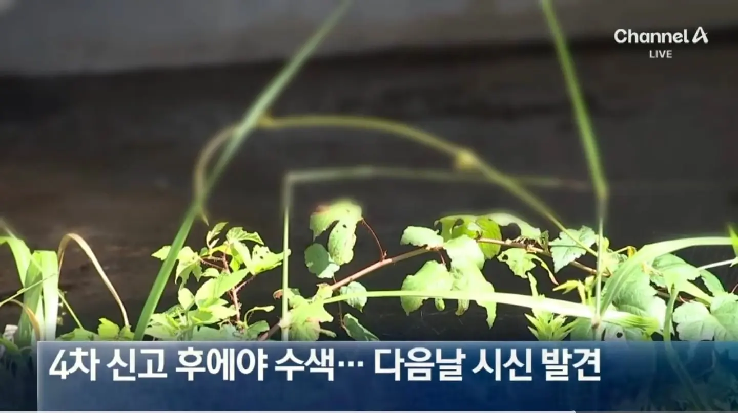 트트으으ㅡㅡㅇ응.jpg