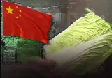 중국산 김치 구별법