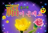 박위가 없어서 출발을 못한다는 버스기사