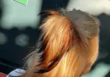 붉은 여우한테 영감 받은 폭스 헤어! 🦊