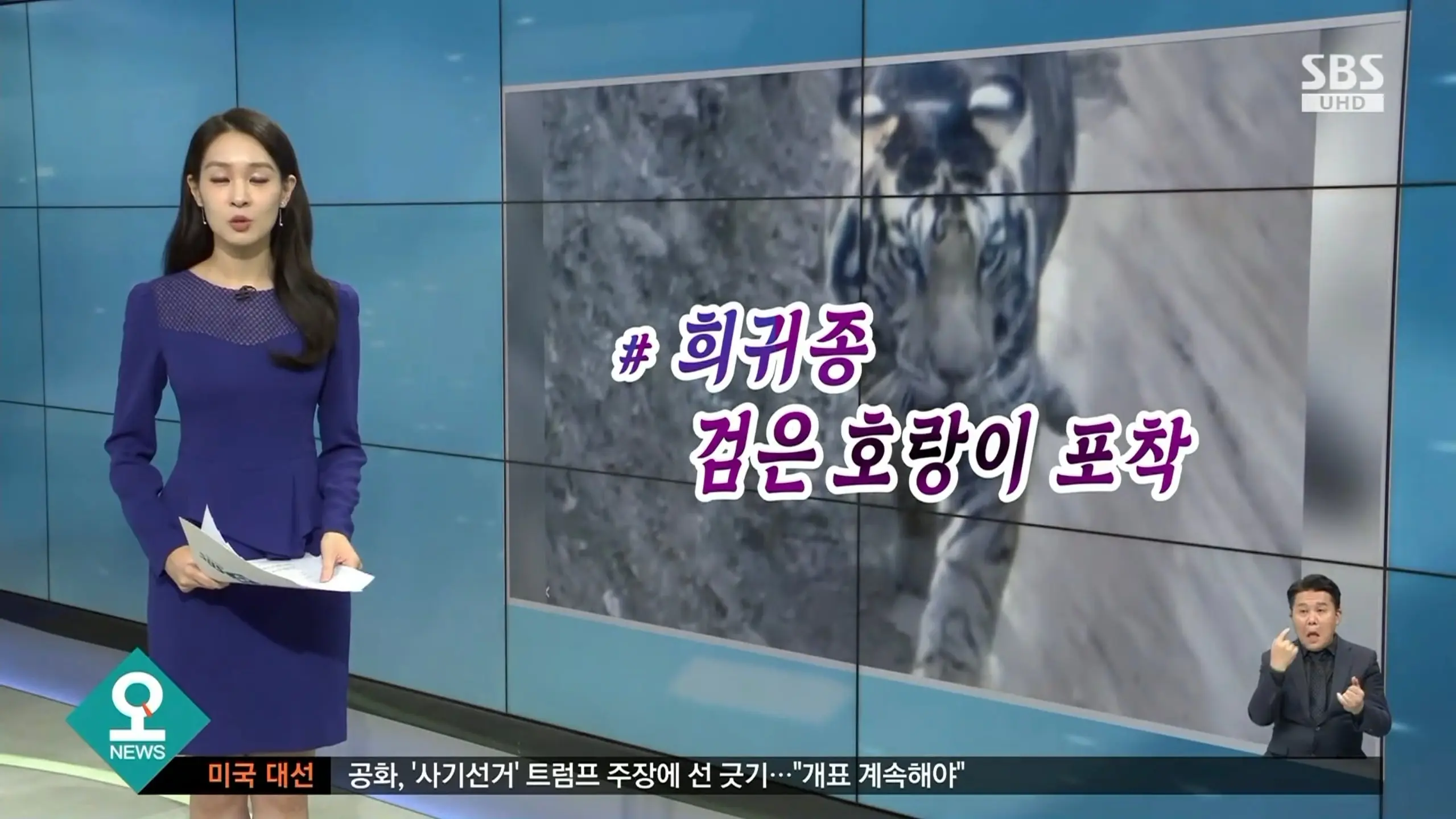 Screenshot_20260828_104514_YouTube.jpg
